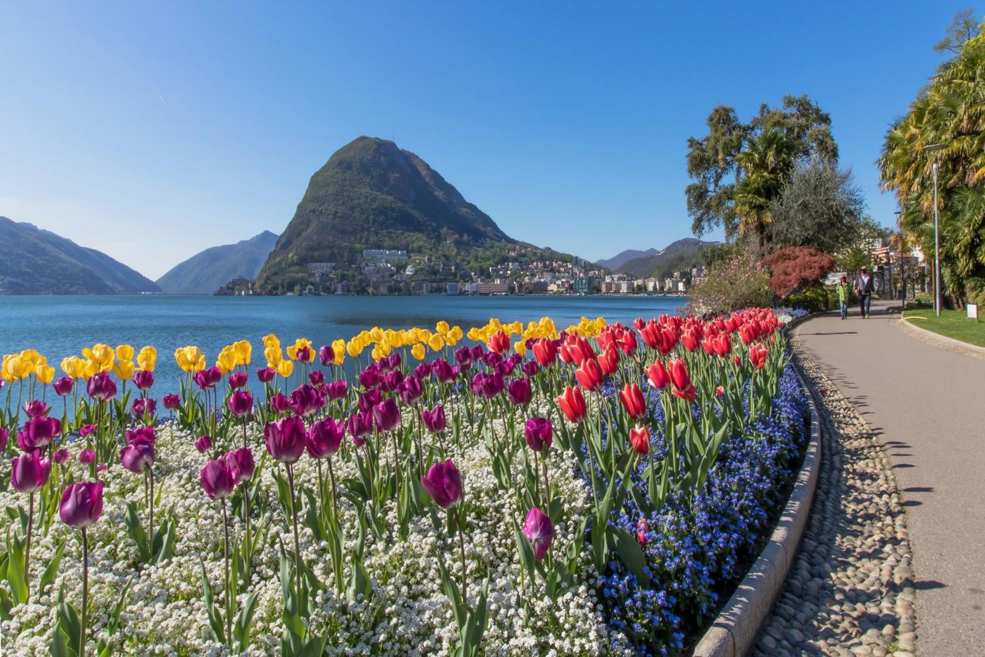 Appartamento Casa Basilico Lugano Esterno foto